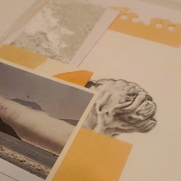 Bulldog bullet journal scrapbook paper pack with watercolour - Picture 1 of 4